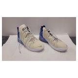 Size 12 Le Bron Nike Shoes