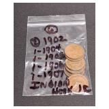 6) Indian Head Pennies 1902, 02, 04, 05, 06, 07