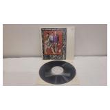 Vinyl LP 'The Beach Boys'