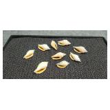 9) Small Sea Shells