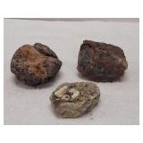 3)  Petrified & Lava Rocks