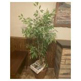 Plant with books