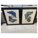 Pair of Contemporary Butterfly Prints