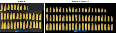 Photo credit: PlantArcBio.