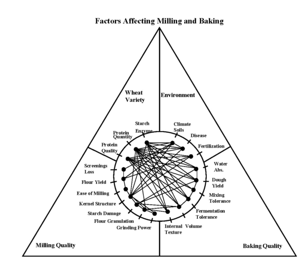 Figure 1: Effect of wheat variety and environment on milling and baking quality.