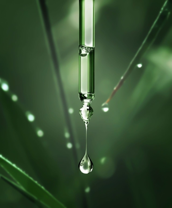 Indiana Crop Improvement Association in September announced a new seed testing service.