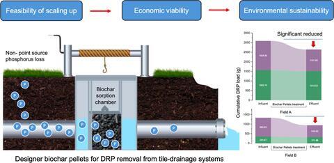 Schematic showing water flow through a phosphorus removal structure filled with biochar.