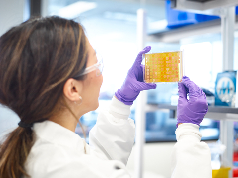 Syngenta collaborates with Ginkgo Bioworks to enable faster launch of innovative biologicals. (Photo: Business Wire)