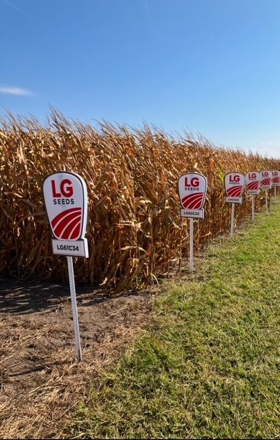 Farmers can reach out to their local LG Seeds agronomist for region-specific advice and recommendations all season long.