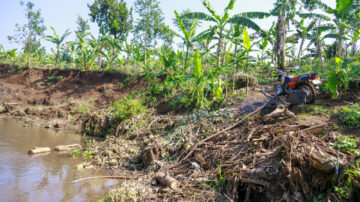A motorcycle, adapted to function as a water pump, draws from a stream to irrigate crops—an innovative approach to irrigation as a service in Mbale, Uganda. (Photo Credit: David Munyaneza, DWFI)