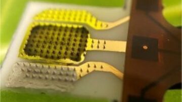 This sensor measures hydrogen peroxide, a marker of stress in soybean and tobacco plant leaves.
(Adapted from ACS Sensors 2025, DOI: 10.1021/acssensors.4c02645)