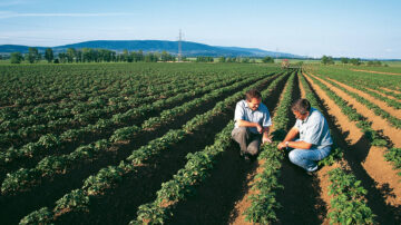 Velsinum will increase access to biological alternatives for vegetable and potato operations.