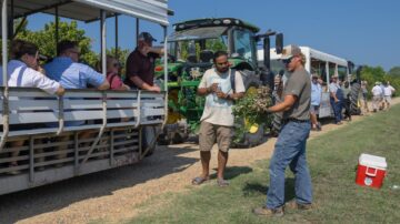 Mississippi State University Extension peanut agronomist Brendan Zurweller shows onlookers a disease-infected peanut plant during a row crop field day Aug. 6, 2024. The event was hosted by the MSU Extension Service and the Mississippi Agricultural and Forestry Experiment Station at the MAFES R. R. Foil Plant Science Research Center. (Photo by MSU Extension Service/Kevin Hudson)