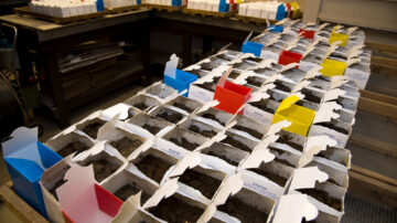 Soil samples at the Marianna Soil Test Lab are prepared for testing. (U of A System Division of Agriculture photo)