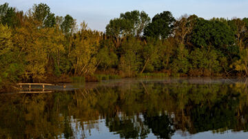 As part of the Department of Energy’s Billion-Ton Report, Lixia Lambert, assistant professor in the OSU Department of Agricultural Economics, has spearheaded the creation of a modeling tool to analyze the potential of forest biomass resources in the U.S. (Photo by Mitchell Alcala, OSU Agriculture)