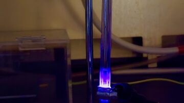 Cold plasma is applied to rice seeds to investigate its effects on plant growth and defense against the fall armyworm. (Image courtesy of Rupesh Kariyat)