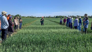 Juan Arbelaez presenting at a previous small grains field day.