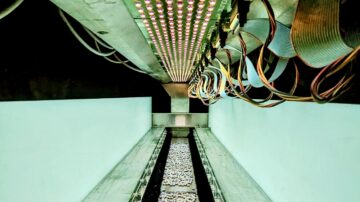 BioLumic Founder and Chief Scientific Officer Jason Wargent, PhD, explains how the need and opportunities for new seed trait innovation are boundless and have never been more important for the future. (BioLumic)