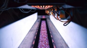 BioLumic uses UV light treatments to address inbreeding depression in seed production. (BioLumic)