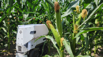 Crops robot. (Photo by Salah Issa University of Illinois Urbana-Champaign)