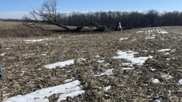After a dry fall, Weihmeir says central Illinois could use several more snows to replenish soil moisture reserves.