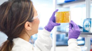 Syngenta collaborates with Ginkgo Bioworks to enable faster launch of innovative biologicals. (Photo: Business Wire)