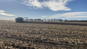 Yield maps can help farmers identify pinch points across their acres.