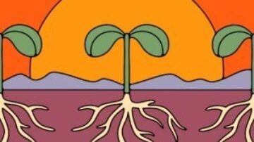 (Artwork by Carmen Kelly)