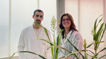 On the left Andrés Rico, first author of the study, and on the right Ana I. Caño-Delgado, who led the study. (CRAG)