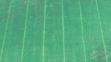 The lime green strips reflect a plugged knife on a toolbar. Wind damage is also visible.