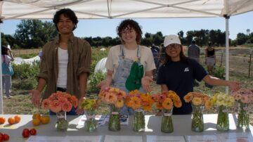 Undergraduates have many opportunities to participate in SCOPE, or the Student Collaborative Organic Plant Breeding Education program, at UC Davis. From left are intern Noa Pamplona, lead student breeder Atlas Mumfrey and intern Rebecca Chan. (Amanda Saichaie/UC Davis)