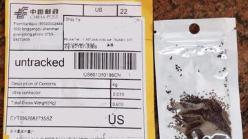 The New Mexico Department of Agriculture (NMDA) is warning residents about potentially dangerous foreign seeds arriving in unsolicited packages across New Mexico and Texas. These unauthorized seed shipments violate state and federal law and pose serious risks to our agriculture and environment. Unknown seeds could introduce invasive species or plant diseases that threaten New Mexico's ecosystems and farming communities. (Photo from 2020, courtesy New Mexico Department of Agriculture)