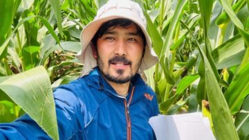 Kamal Chhetri rating disease severity in corn during the summer of 2024. (Courtesy of Kamal Chhetri)