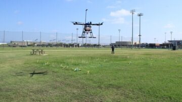 Researchers at College Station, Texas, have shown that spray drones can effectively control crabgrass in turf using low-drift nozzles at low spray volumes. (Photo by Ubaldo Torres, Texas A&M University)