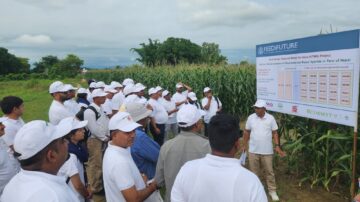 Partners in South Asia visiting heat stress tolerant hybrids demonstration in Nepal (Photo: CIMMYT-Nepal)