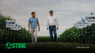 Harry and Myron Stine.