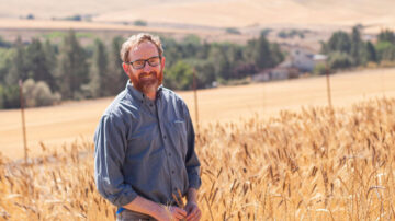 Bringing more than two decades of experience breeding healthy, nutritious crops, Kevin Murphy will direct the WSU Breadlab as the next Clif Bar and King Arthur Baking Company Endowed Chair in Organic Grain Breeding and Innovation.