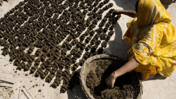 A villager making biofuel from cow manure. The report says agrifood system policies should encourage the use of organic nitrogen fertilizers to enhance sustainability. (FAO/Giulio Napolitano)