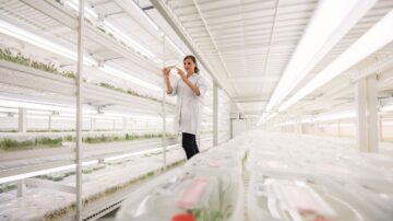 In vitro sugar beets. (KWS photo)
