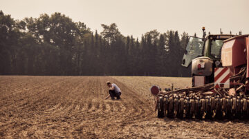 Farmer investigating field during rye sowing. (KWS)