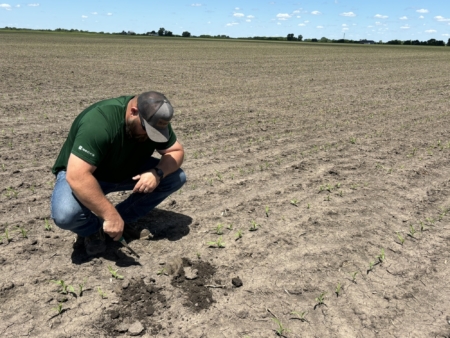 Adam Smith shows how treated seed can help plants grow.