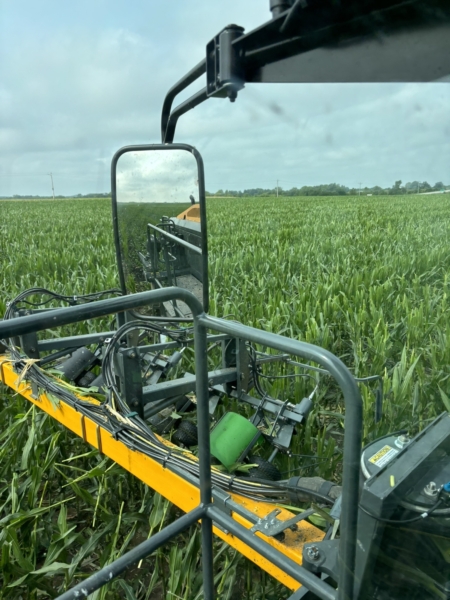 The view from the cab as detasseling work is done.