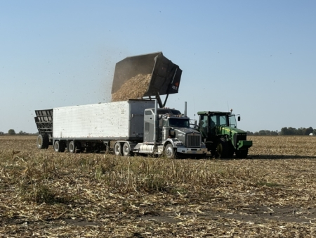 Corn is dumped into a grain truck to be hauled from the field to the Beck's production plant in Mount Pleasant, IA.