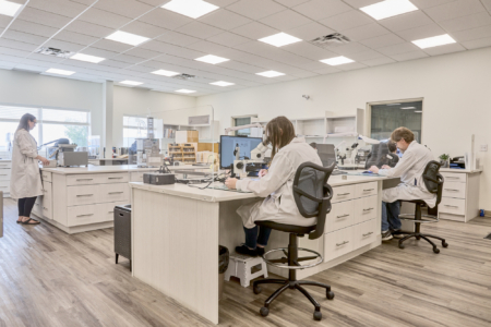 The CFIA accredited seed lab.