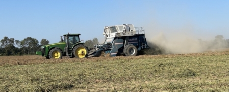 In 2020, the USDA named Missouri a primary peanut-producing state, a designation for states averaging more than 10,000 tons of peanut production annually over three years. (Photo courtesy of Justin Calhoun)