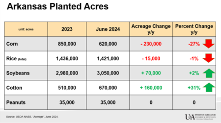 Graph showing information about Arkansas crops from the June 28, 2024, Acreage report from NASS. (U of A System Division of Agriculture image by Scott Stiles)
