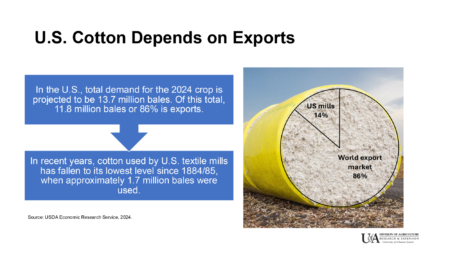 The U.S. cotton industry is heavily dependent on exports. The National Cotton Council has joined others in urging the two sides to keep working toward a contract. (U of A System Division of Agriculture image by Scott Stiles)