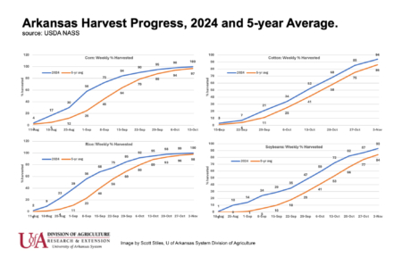 Graphs showing Arkansas harvest progress gauged against the five-year average. (U of A System Division of Agriculture image by Scott Stiles)