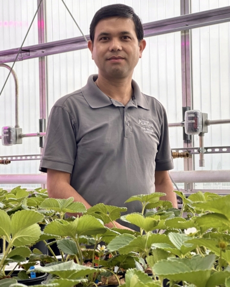 Krishna Bhattarai, Ph.D., brings plant breeding expertise that expands Texas A&M AgriLife’s controlled environment horticulture program. (Gretchen Midkiff/Texas A&M AgriLife)