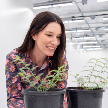 Dr Millicent Smith in a plant growth lab. (Image: Megan Pope)
